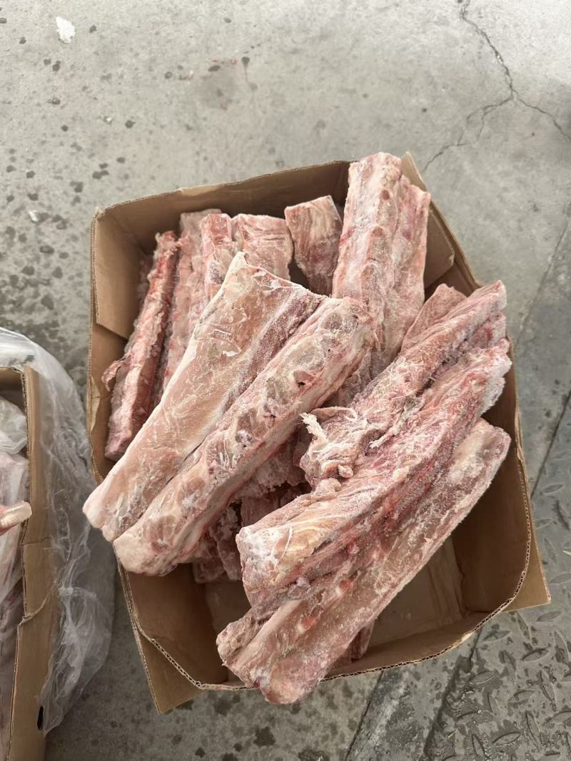 猪背骨庞宝377临沂提货支持样品