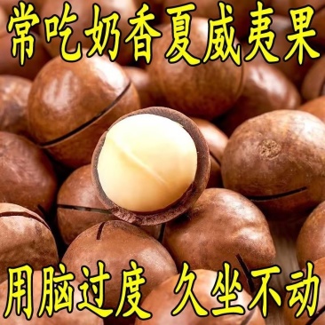 夏威夷果大量现货可代发