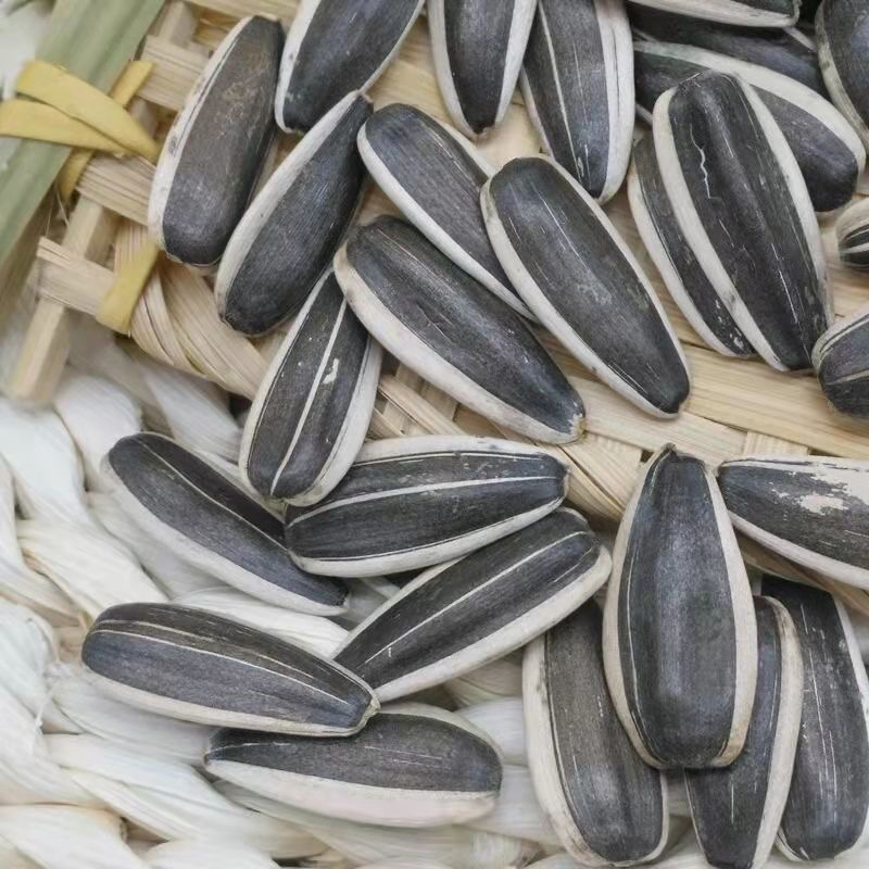 葵花籽大量现货