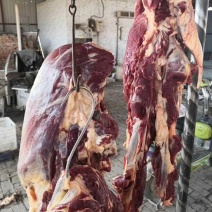 黄膘牛肉纯干无水每天现杀了，可以发空运