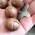 夏威夷果大量现货季节品代发批发