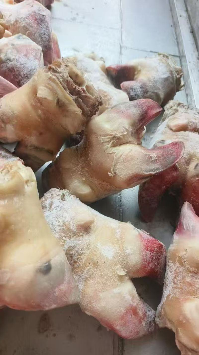 牛蹄掌