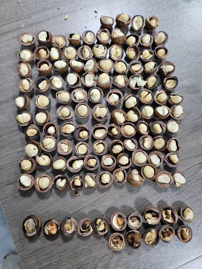 夏威夷果