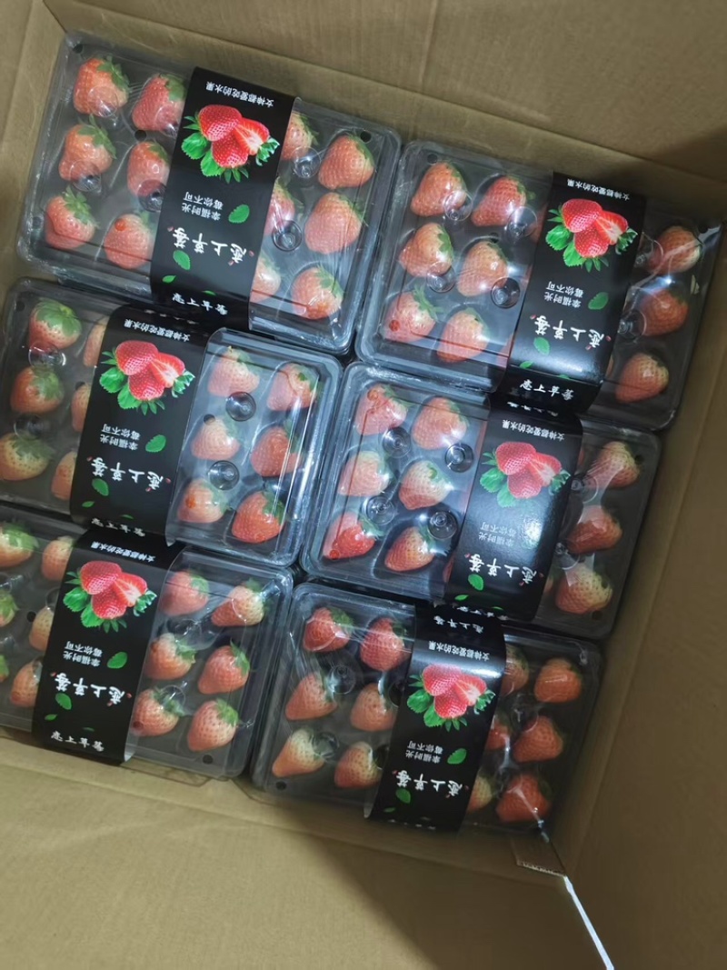 草莓，产地直发，大量有货，欢迎各位老板咨询采购