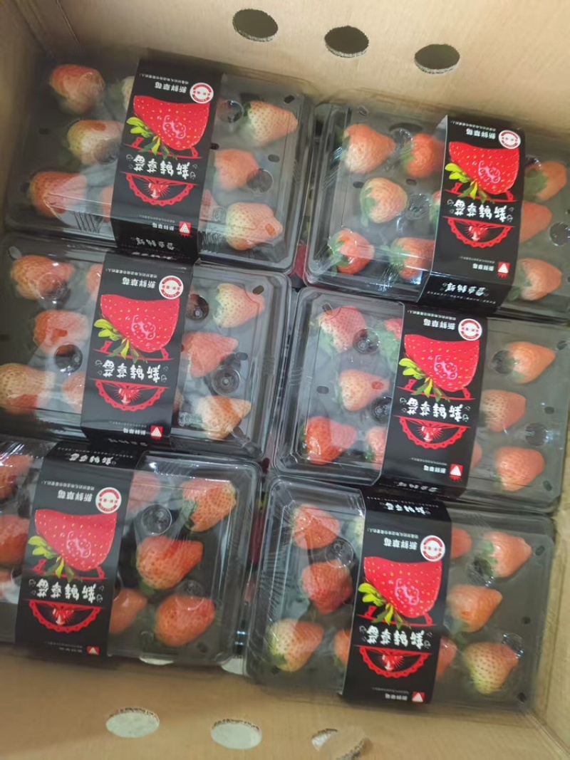 宁玉草莓代收代购，大量有货，可对接全国，可视频看货