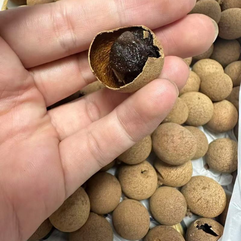 挂圆干精品货也有货