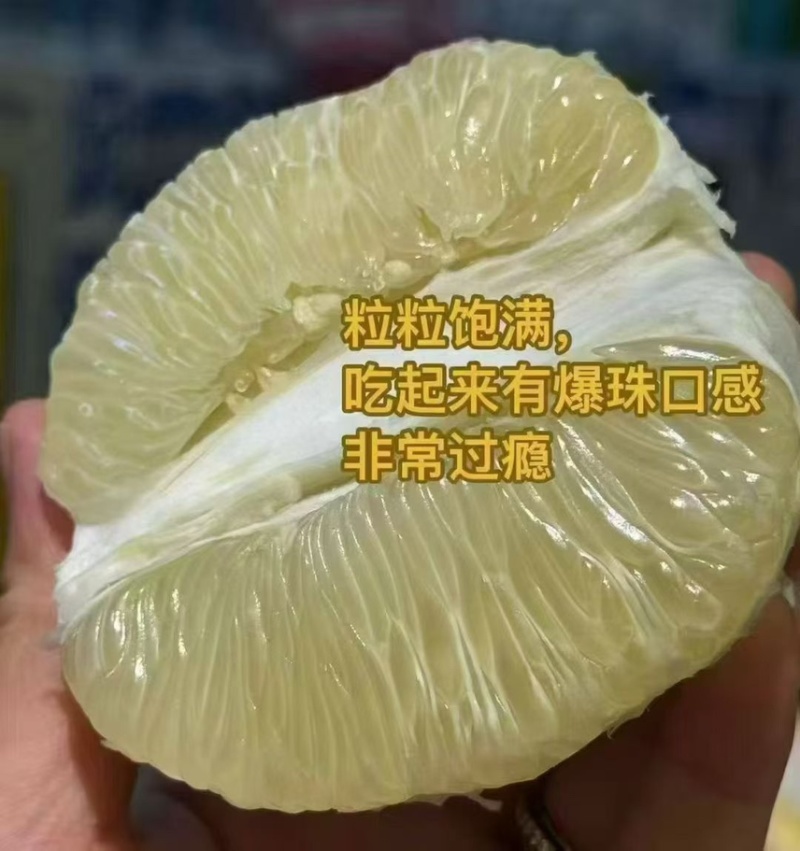 湖南怀化冰糖柚大量上市产地直发一手货源鲜甜多汁