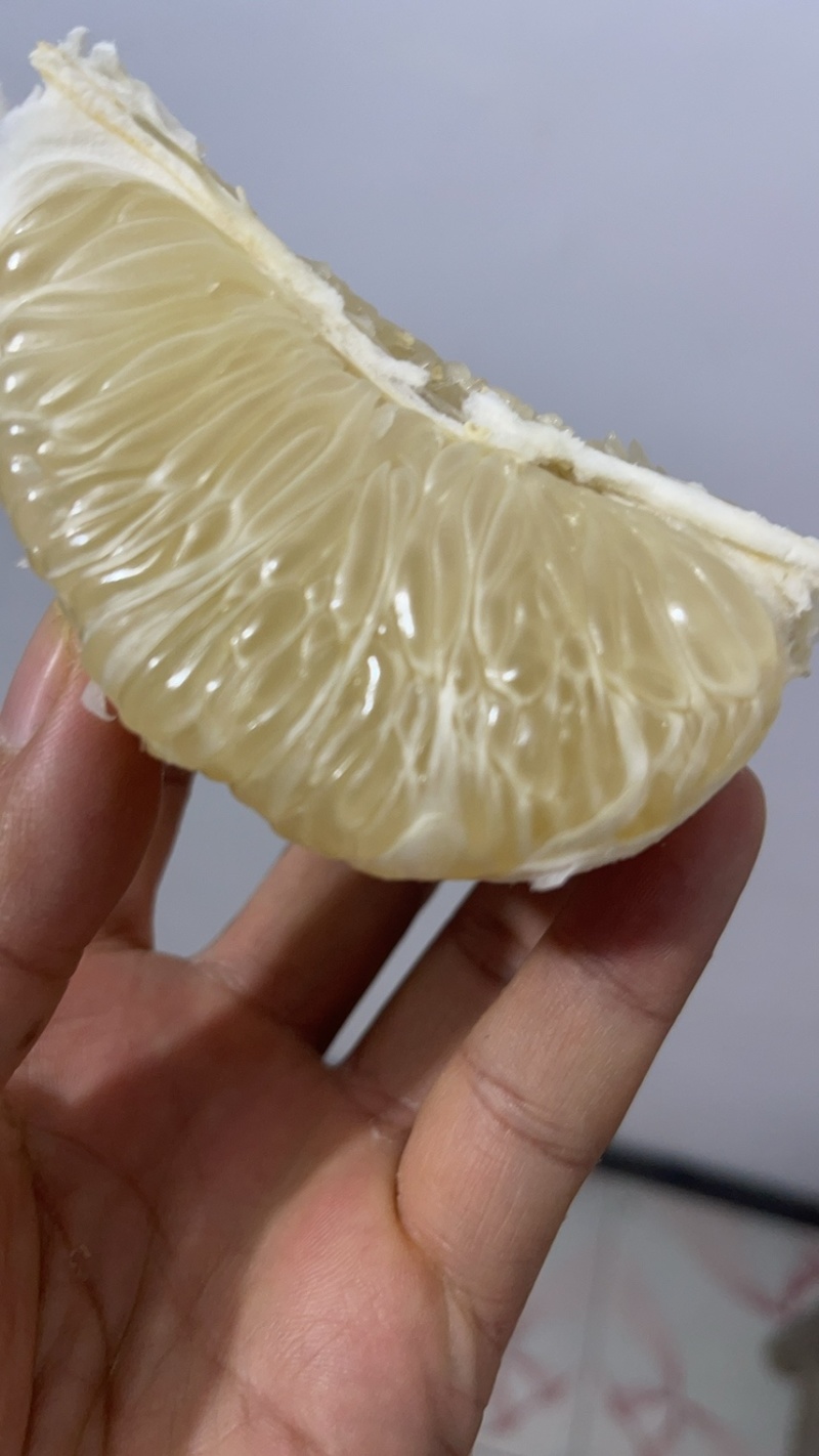 湖南怀化冰糖柚大量上市产地直发一手货源鲜甜多汁