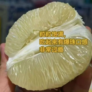 湖南怀化冰糖柚大量上市产地直发一手货源鲜甜多汁