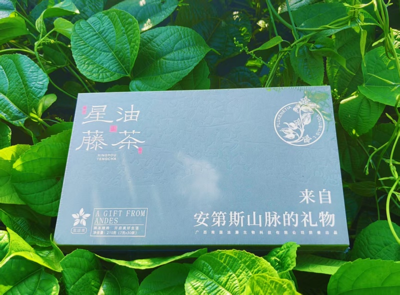 藤茶【星油时代】210克*30袋/常年供应/散装礼盒装
