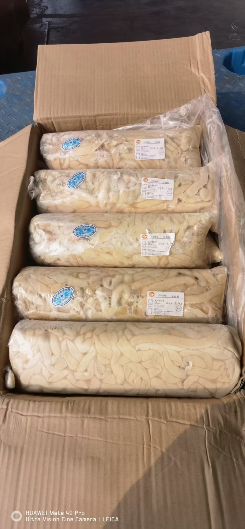 生羊盘肠
