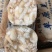 生羊盘肠