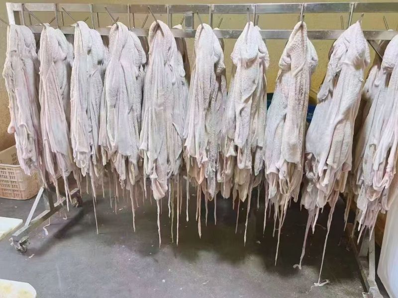 生羊净肚
