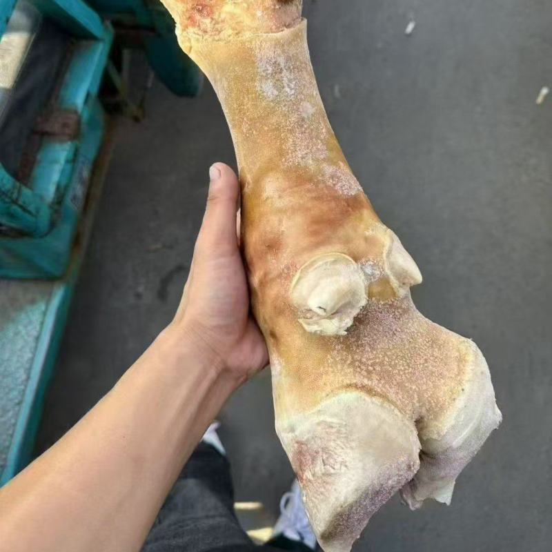 火烧牛蹄