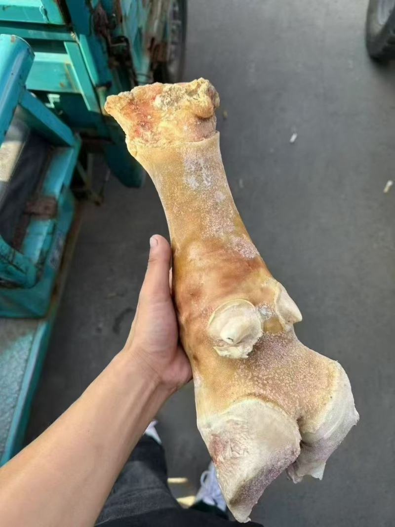 火烧牛蹄