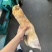 火烧牛蹄