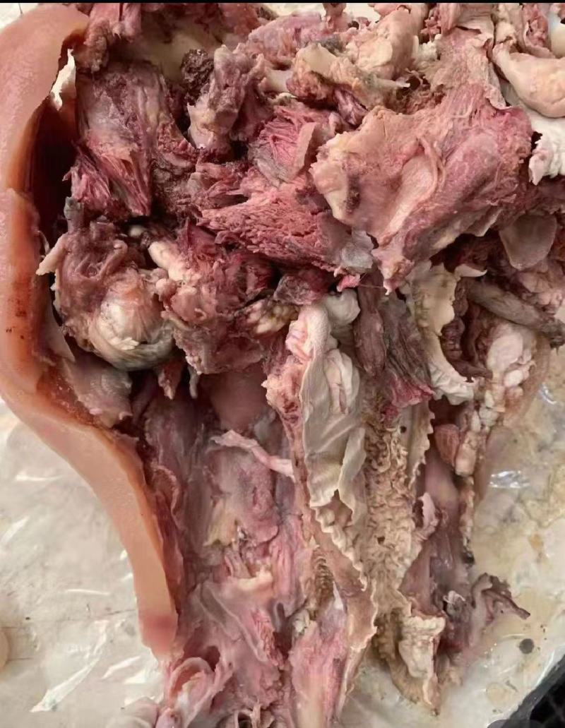 熟牛头肉