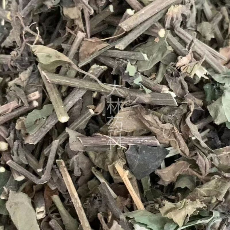 红丝线草【包邮】三斤起发货可批量可零售量大从优