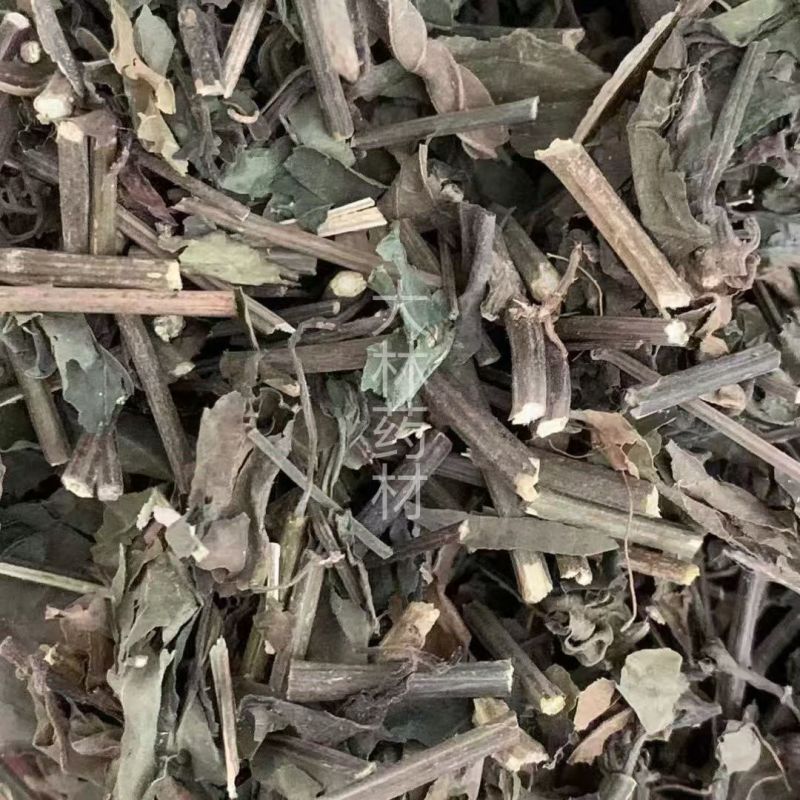 红丝线草【包邮】三斤起发货可批量可零售量大从优
