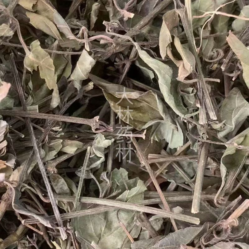 红丝线草【包邮】三斤起发货可批量可零售量大从优