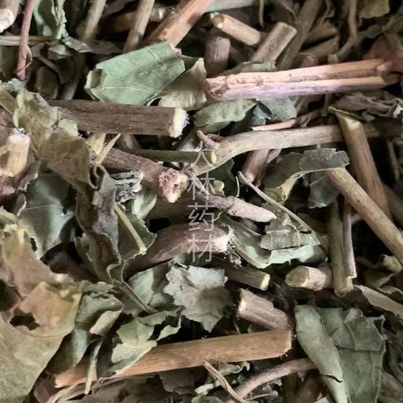 红丝线草【包邮】三斤起发货可批量可零售量大从优