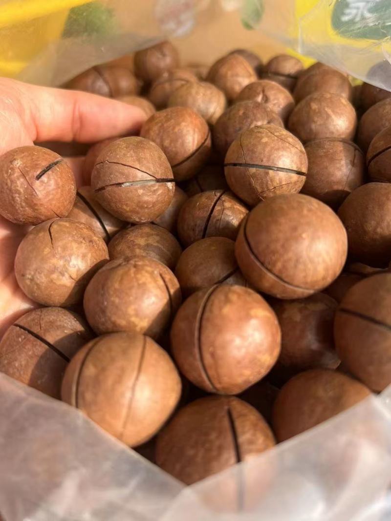 包邮一手货源质量保证，包退包换进口开口夏威夷果