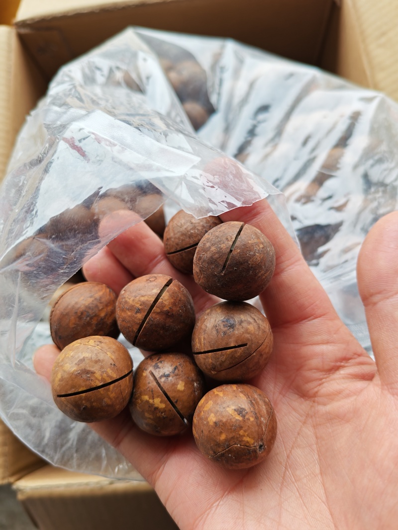 包邮一手货源质量保证，包退包换进口开口夏威夷果
