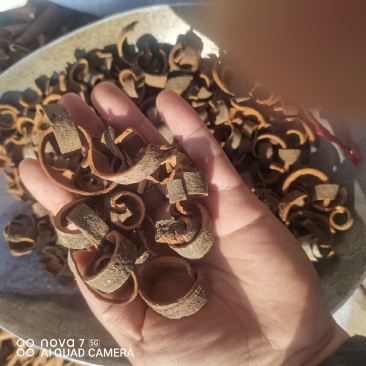 带皮肉桂丝去皮肉桂心规格齐全大货供应