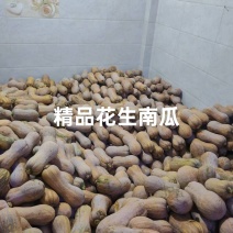 精品花生南瓜