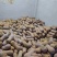 精品花生南瓜