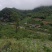 四川阿坝州茂县高山蜂蜜农家土蜂蜜，源自深山野岭