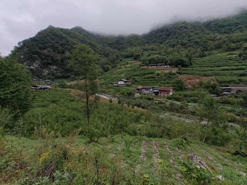 四川阿坝州茂县高山蜂蜜农家土蜂蜜，源自深山野岭