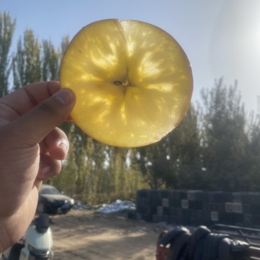 阿克苏冰糖心苹果