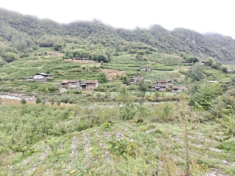 四川阿坝州茂县高山蜂蜜农家土蜂蜜，源自深山野岭
