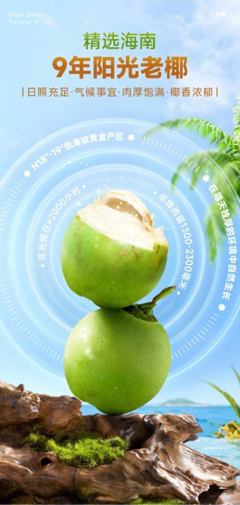 椰汁鲜榨生椰汁厂家直供支持一箱代发走量欢迎咨询
