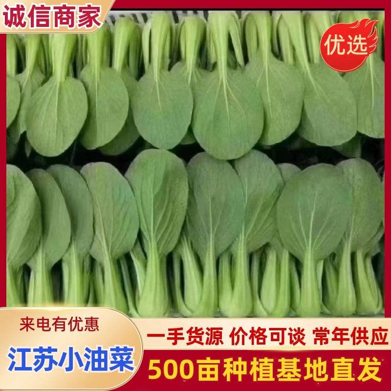 《万人合作商》江苏上海青小油菜大量上市中对接商超团购