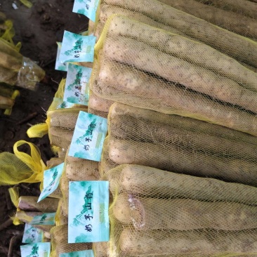 双棒网袋山药，标秤3斤，5斤。价格便宜，大量打包出货中