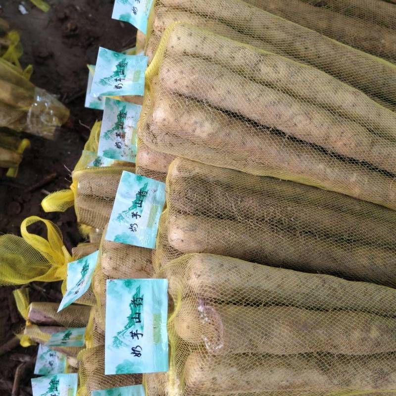 双棒网袋山药，标秤3斤，5斤。价格便宜，大量打包出货中