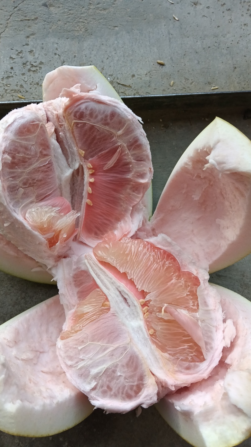 大量红心柚三红柚白柚统货次果大量有货，货源充足