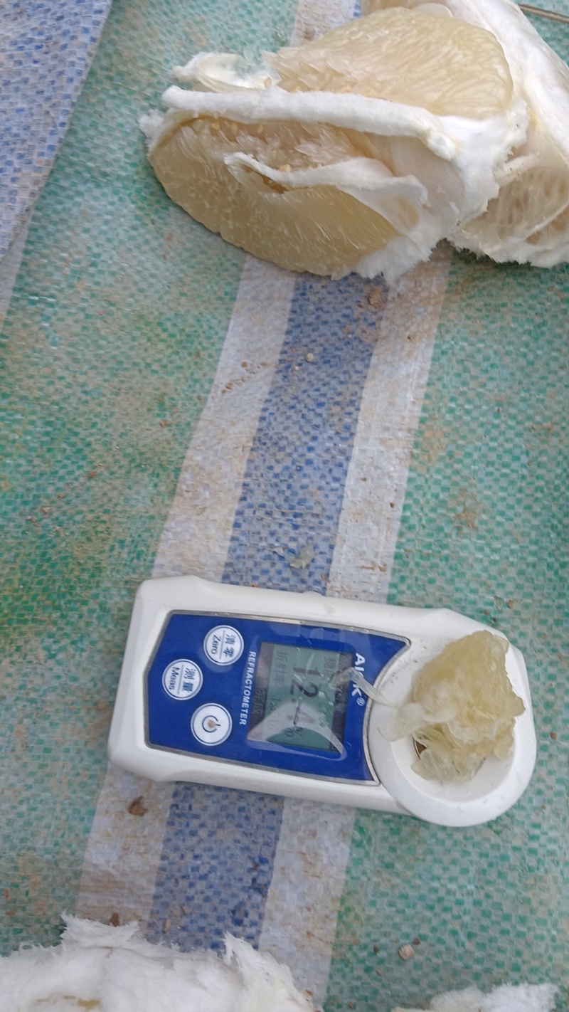 大量红心柚三红柚白柚统货次果大量有货，货源充足