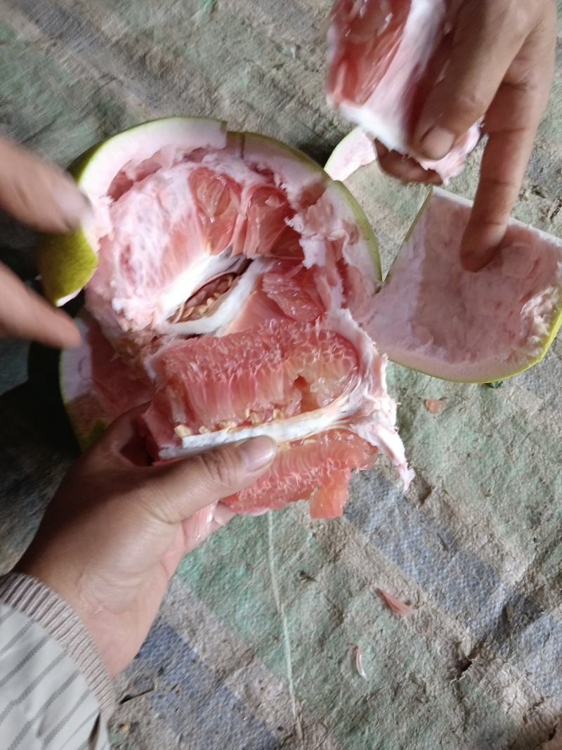 大量红心柚三红柚白柚统货次果大量有货，货源充足