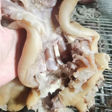 山东济南熟食熟去骨牛蹄，一手货源，稳定供应市场，量大从优。