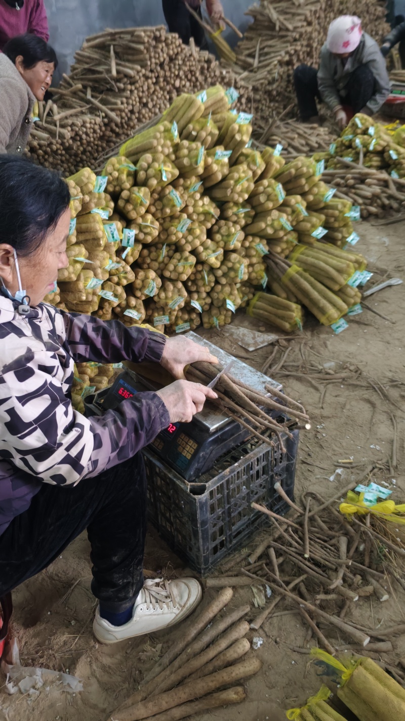 双棒网袋山药，标秤3斤，5斤。价格便宜，大量打包出货中