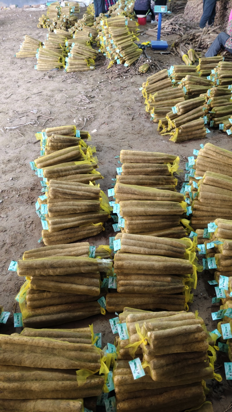 双棒网袋山药，标秤3斤，5斤。价格便宜，大量打包出货中