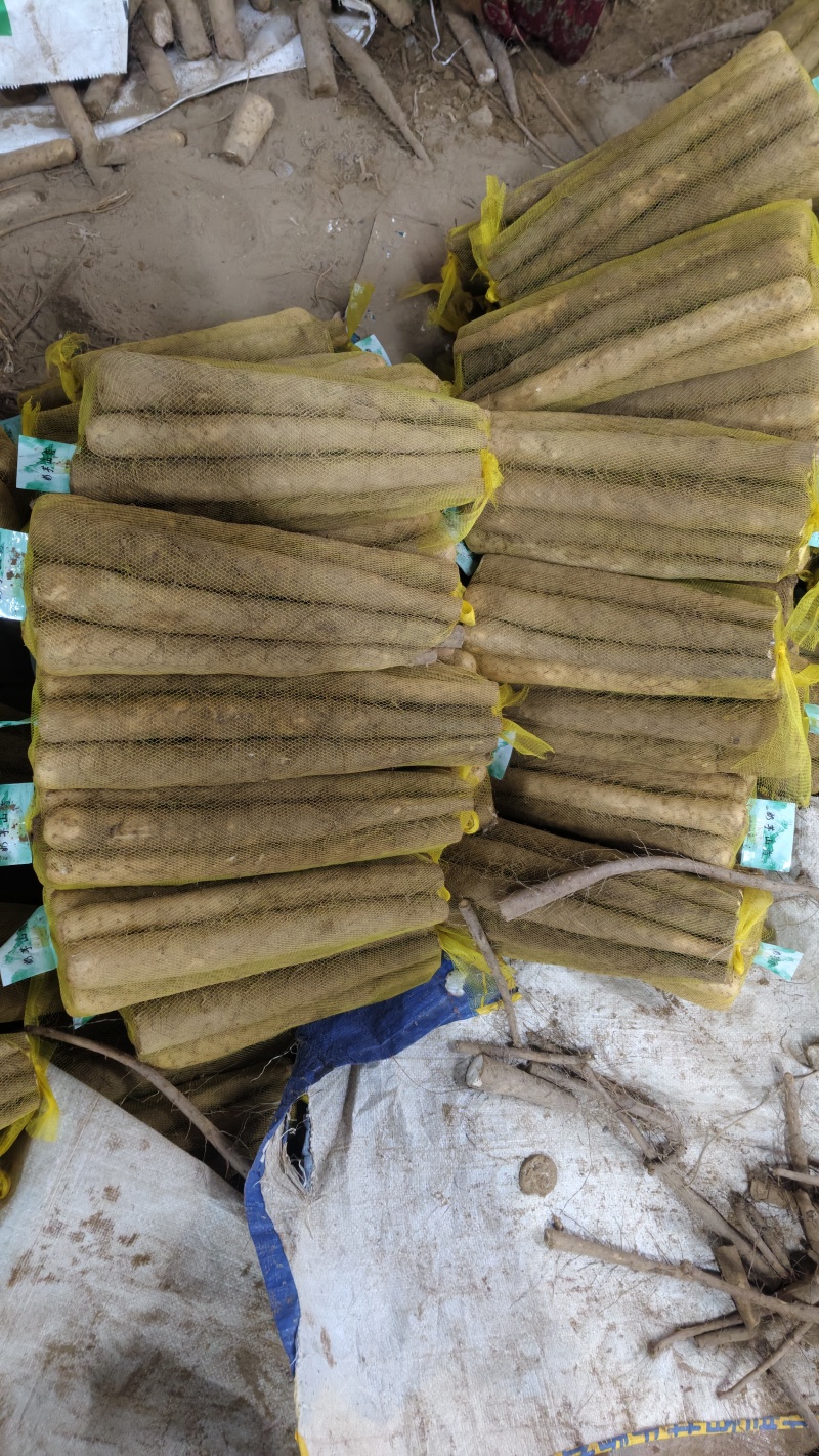 双棒网袋山药，标秤3斤，5斤。价格便宜，大量打包出货中