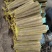 双棒网袋山药，标秤3斤，5斤。价格便宜，大量打包出货中