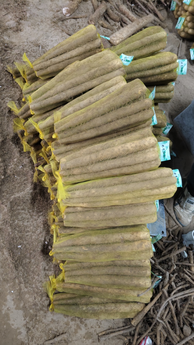 双棒网袋山药，标秤3斤，5斤。价格便宜，大量打包出货中