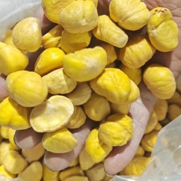 板栗仁