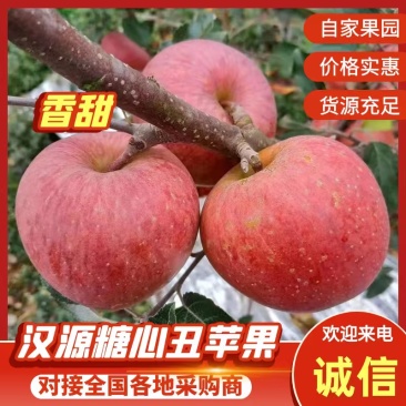 汉源糖心丑苹果，光果红富士糖心满满，想要的大量供应！