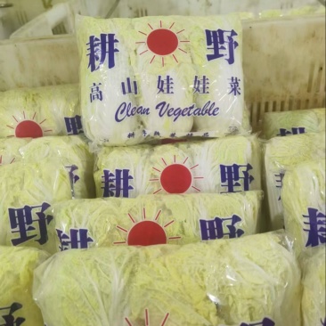 云南精品娃娃菜